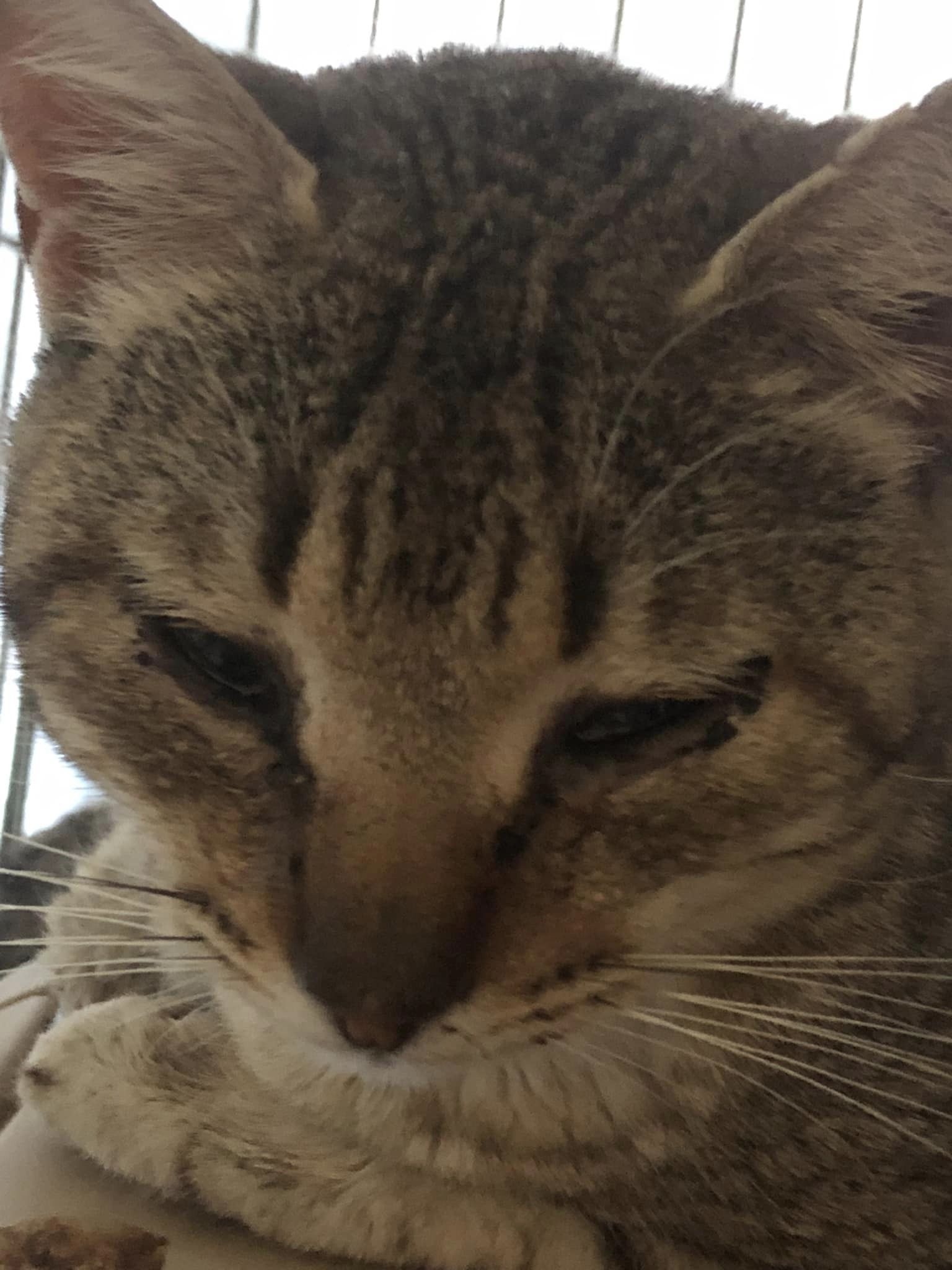 Thomas