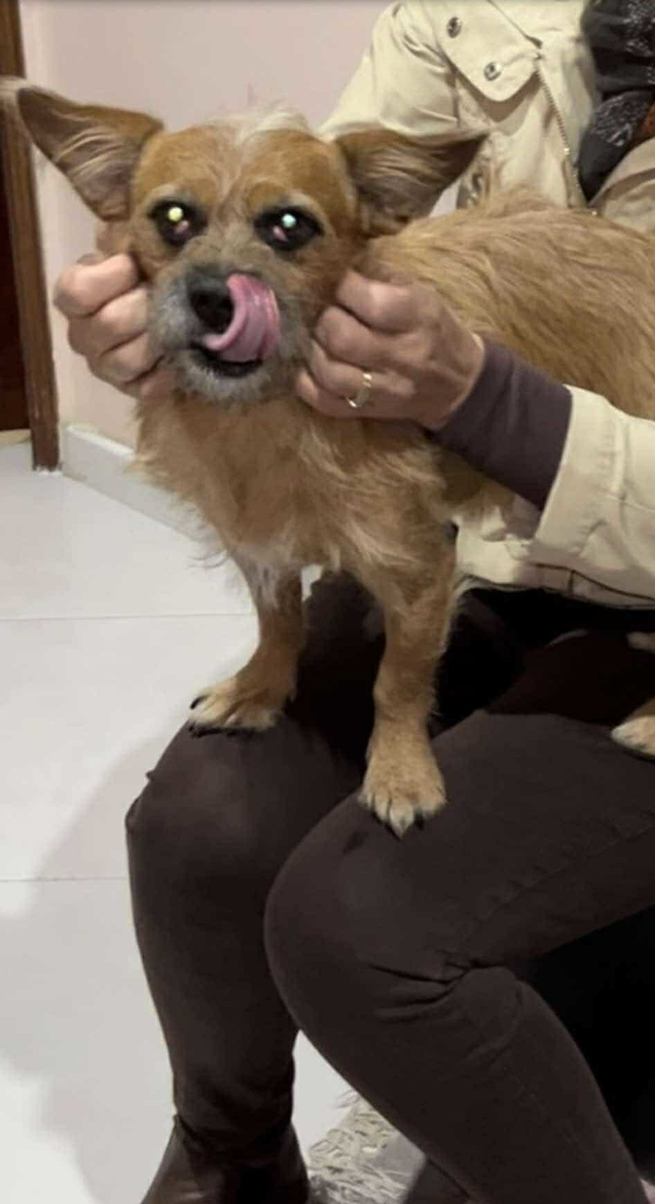 Tico