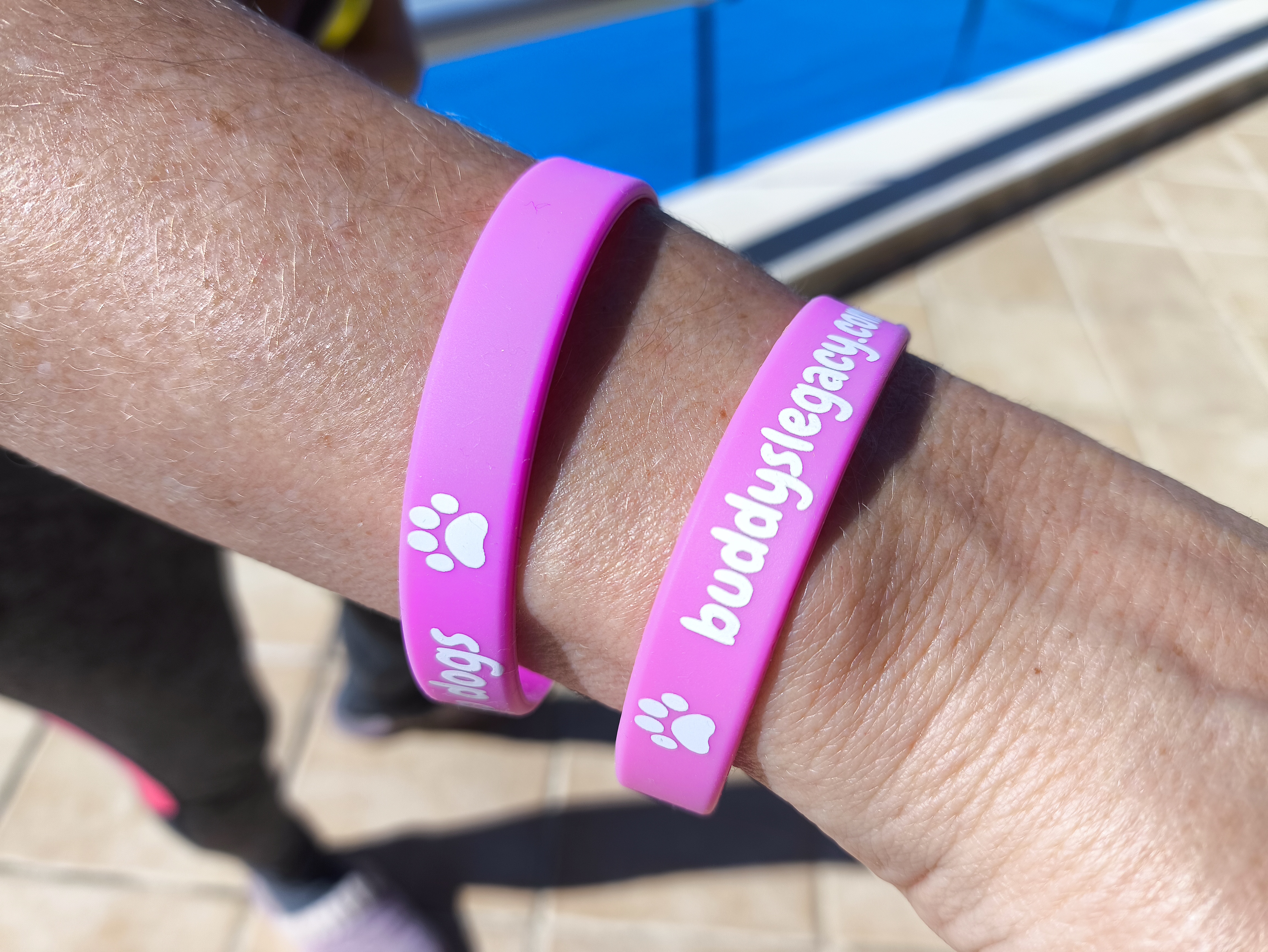 Pulseiras do Buddy's Legacy